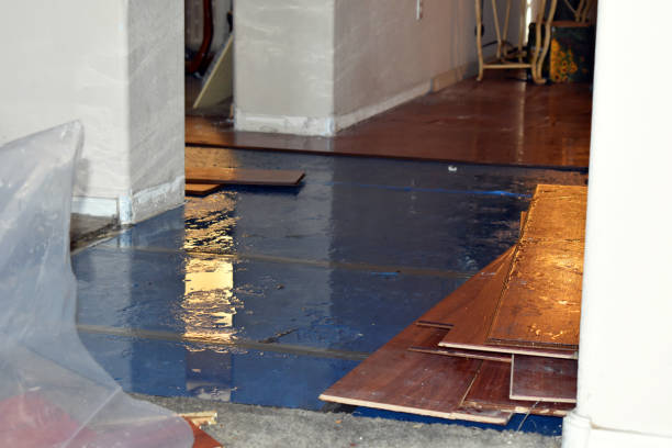 Professional Flood Damage Repair technician working in Harrington, ME